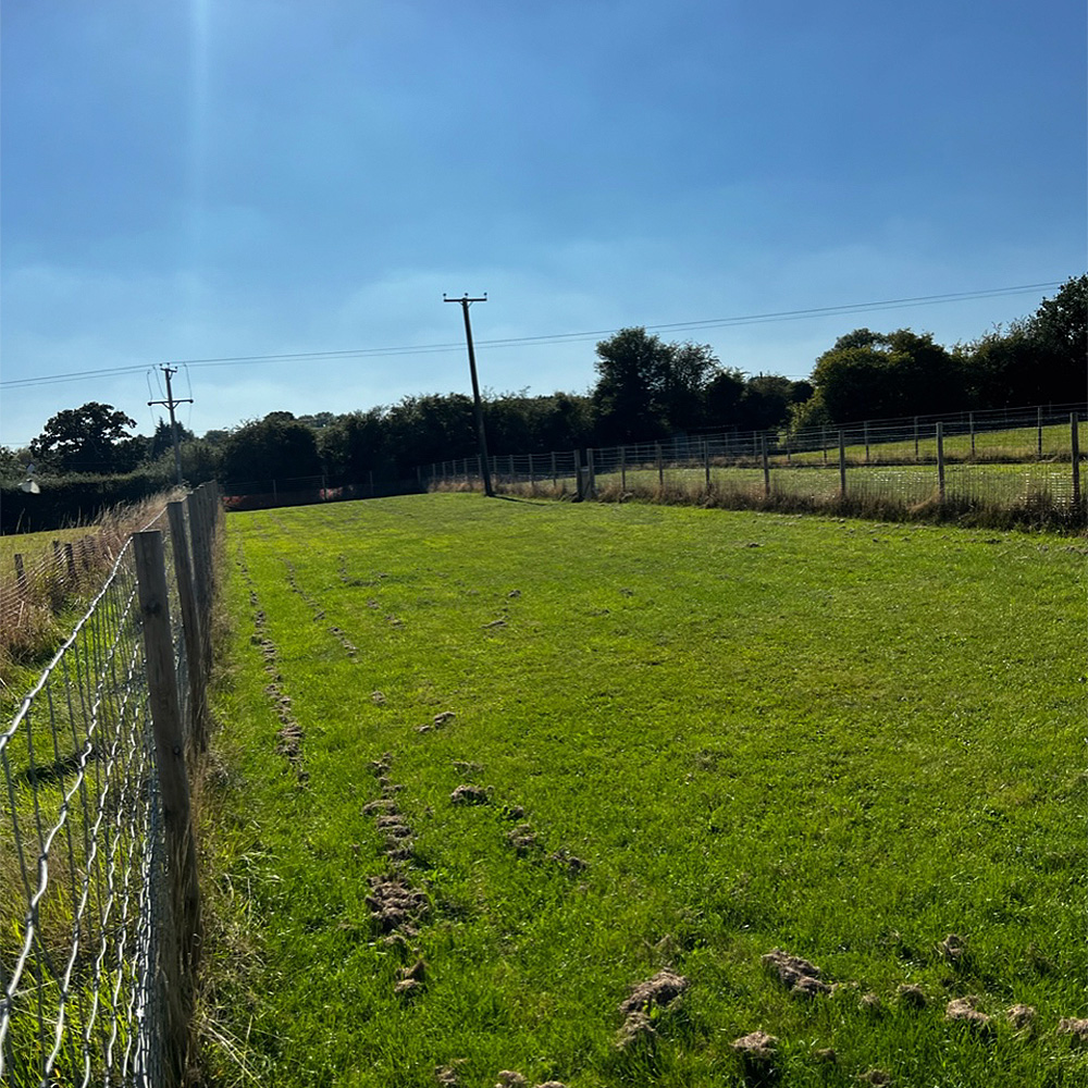 The Rural Dog Park Field 1 Image