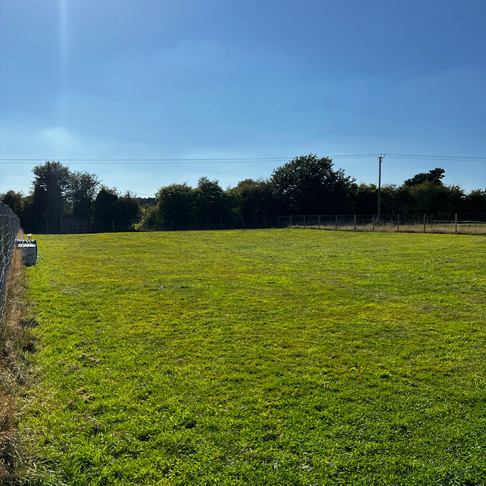 The Rural Dog Park Field 3 Image