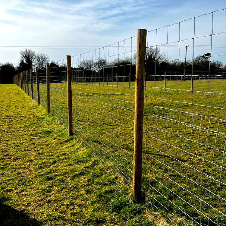 The Rural Dog Park Security Services Image